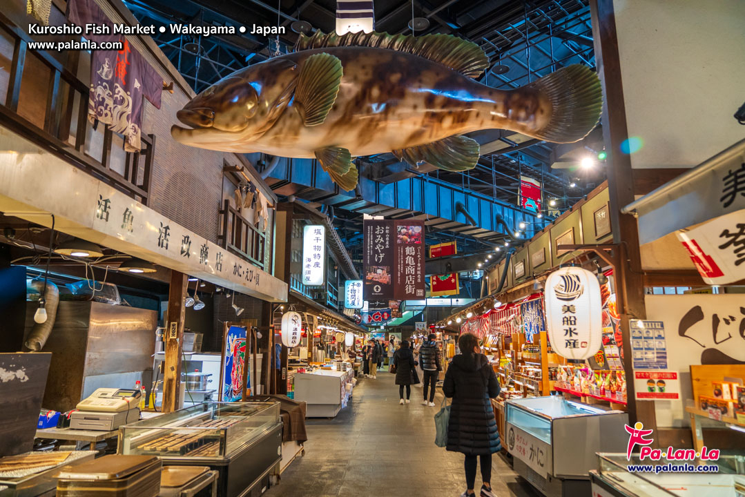 Kuroshio Fish Market